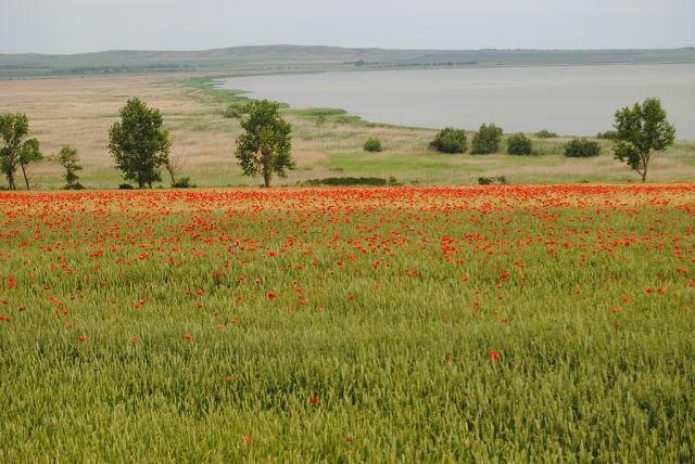 База Отдыха "Бриз У Сказки" Сенной Экстерьер фото